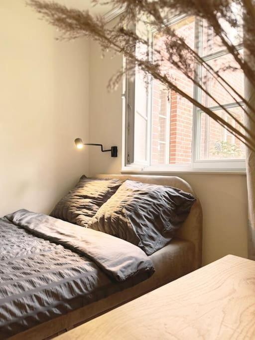 Natural Apartment In The City Center - Old Town Breslavia Exterior foto